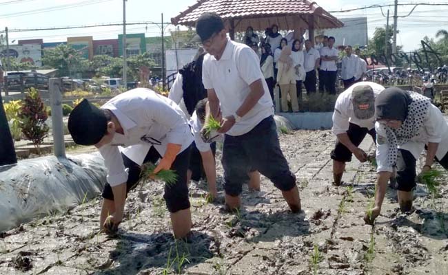 Bupati Arifin saat memanen cabai dan menanam padi di Trenggalek Agropark