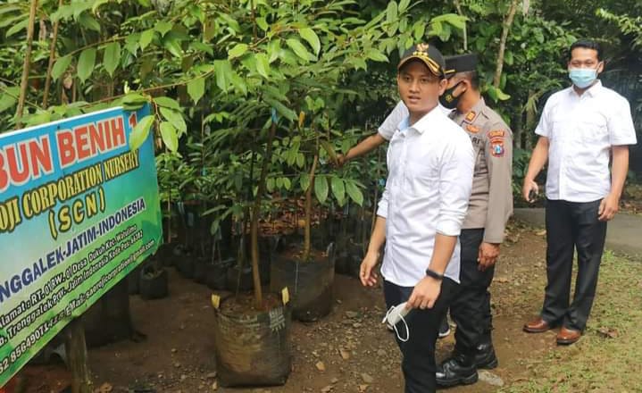 Viral Karena Dicicipi Presiden Jokowi, Benih Durian Ripto Trenggalek Banyak Dicari