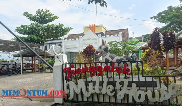 Ingin Nongkrong sambil Menikmati Olahan Berbahan Susu, Milk House Trenggalek Jadi Solusi