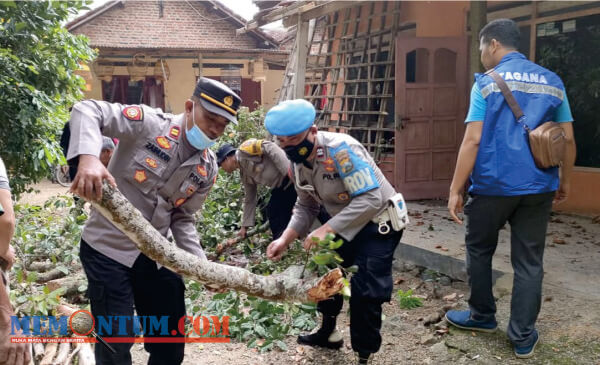 Pohon Tumbang Timpa Rumah dan Pemilik, Polisi Trenggalek Turun Tangan Evakuasi