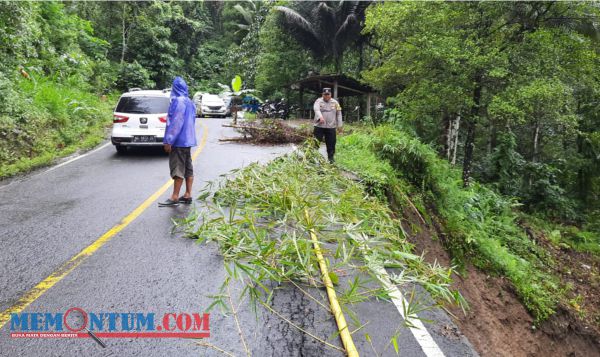 Akses Jalan Ke Kawasan Wisata Pantai Prigi Trenggalek Longsor