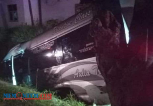 Diduga Jadi Korban Pelemparan Batu saat Melintas di Jalan Antar Provinsi, Isuzu Elf di Trenggalek Nyungsep ke Selokan