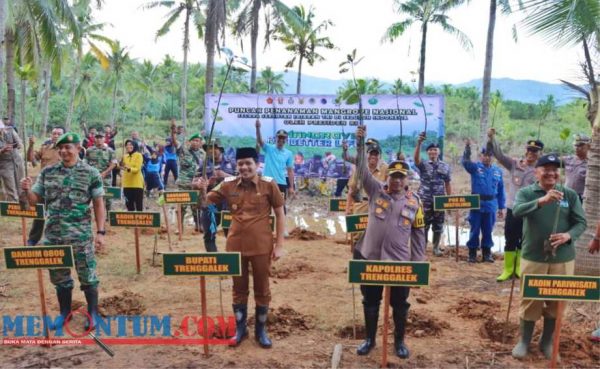 Wujud Kecintaan Terhadap Lingkungan, Forkopimda Trenggalek Tanam Mangrove di Watulimo